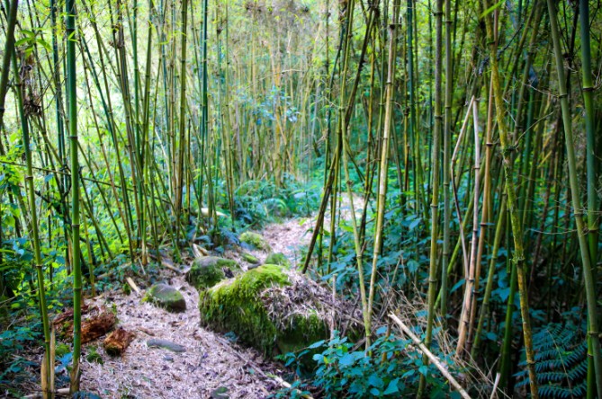 Kithakakisa Campsite