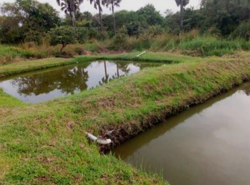 Kabira Fish Ponds